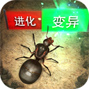排列五综合版老版