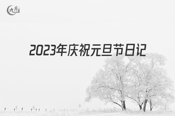 2022年庆祝元旦节日记