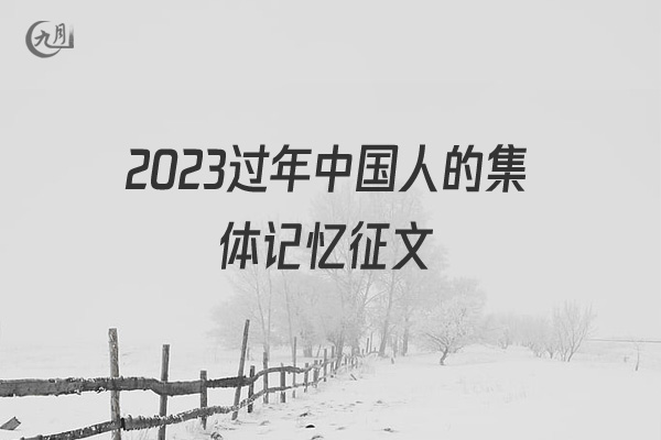 2021过年中国人的集体记忆征文
