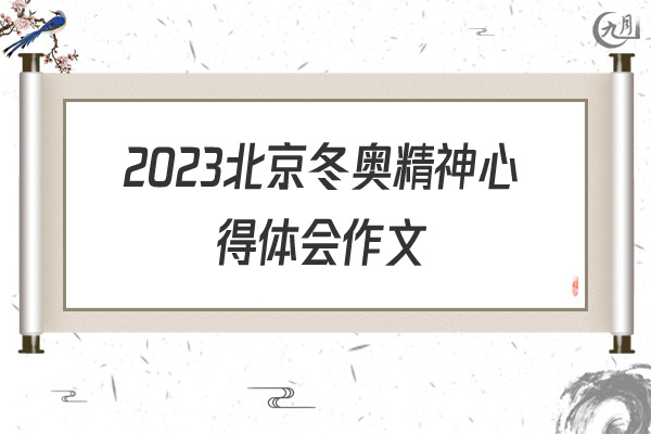 2022北京冬奥精神心得体会作文