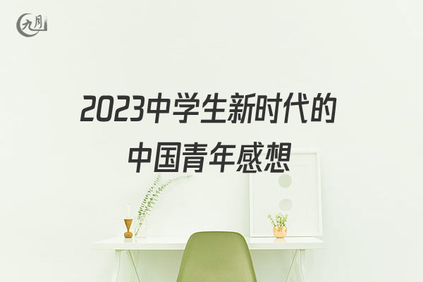2022中学生新时代的中国青年感想