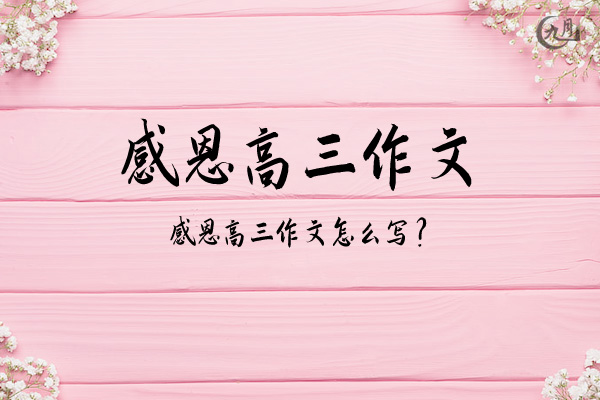 感恩高三作文