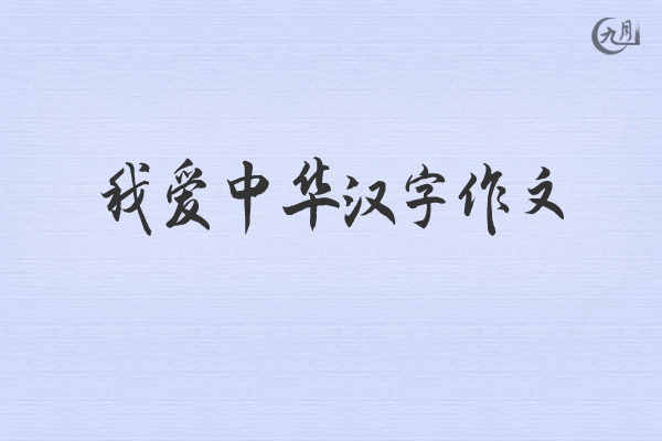 我爱中华汉字作文