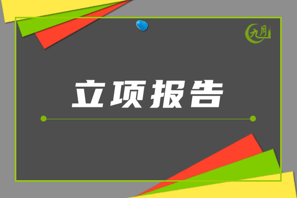 项目立项报告