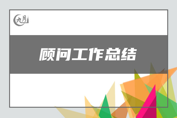 顾问工作总结