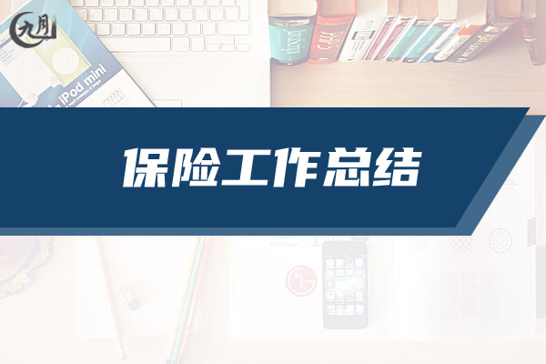 保险工作总结