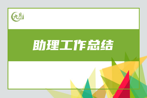 助理工作总结