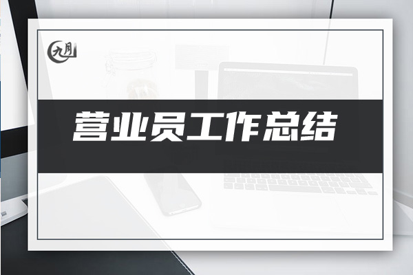 营业员工作总结