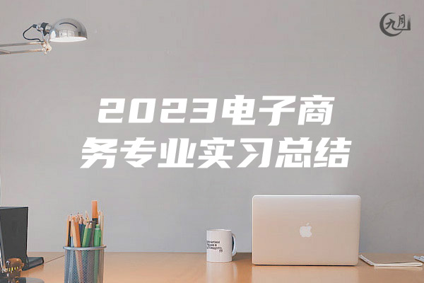 2023电子商务专业实习总结