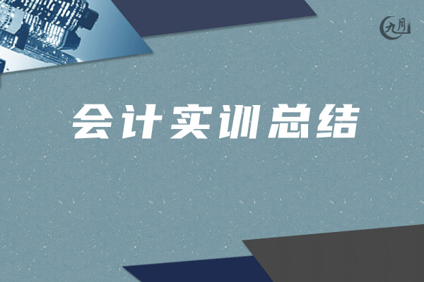 会计实训总结
