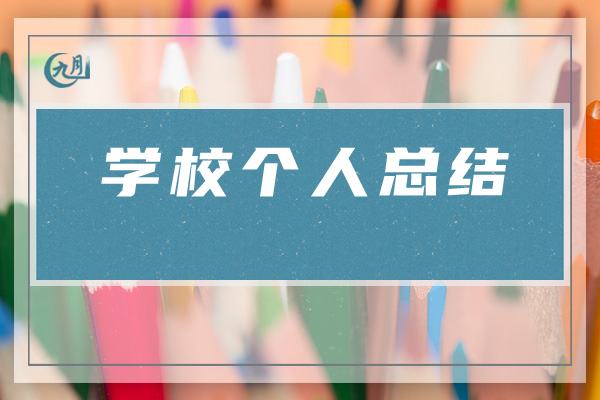 学校个人总结