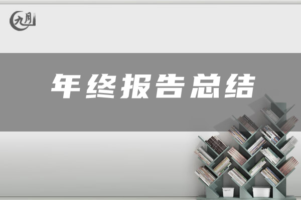 年终报告总结