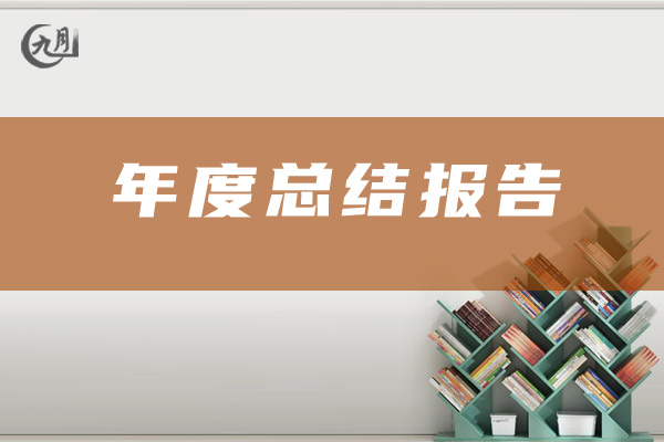 年度总结报告