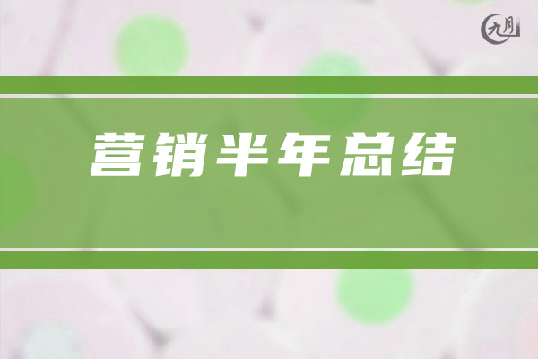 营销半年总结