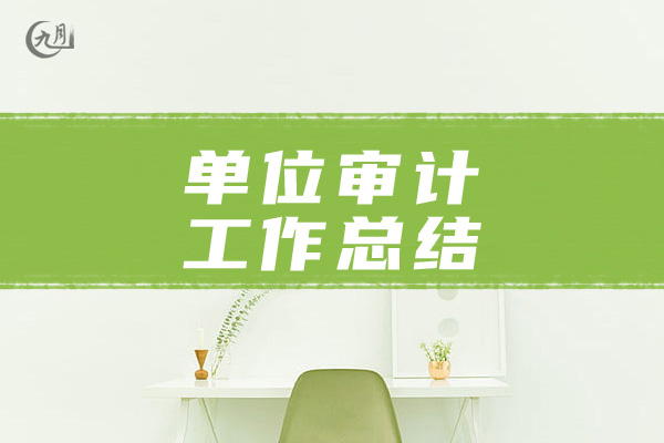单位审计工作总结