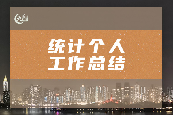 统计个人工作总结