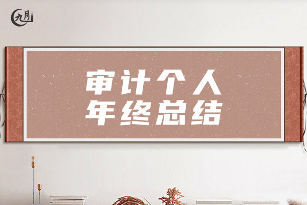 审计个人年终总结