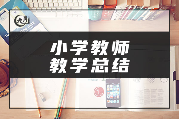 小学教师教学总结