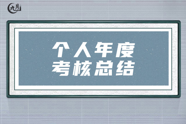 个人年度考核总结