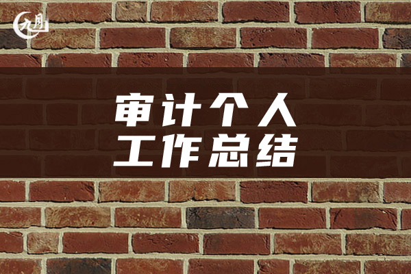 审计个人工作总结