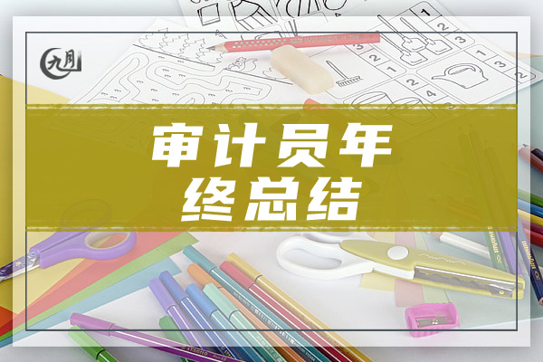 审计员年终总结