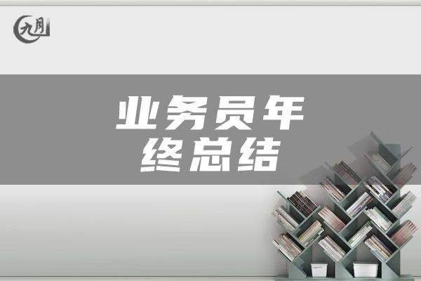 业务员年终工作总结