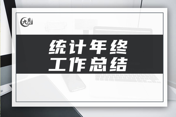 统计年终工作总结