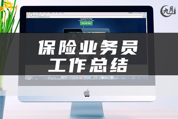 保险业务员工作总结