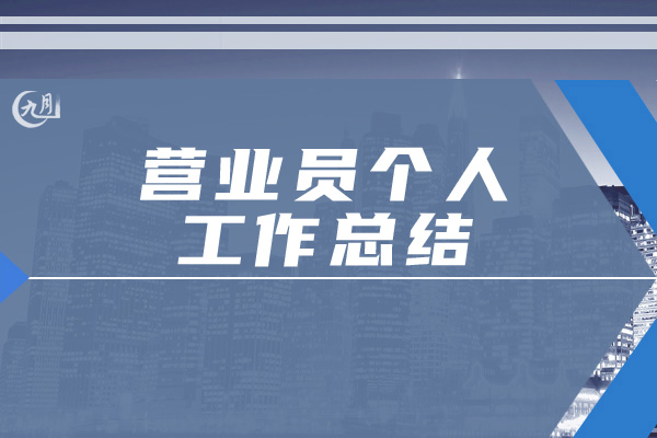 营业员个人工作总结