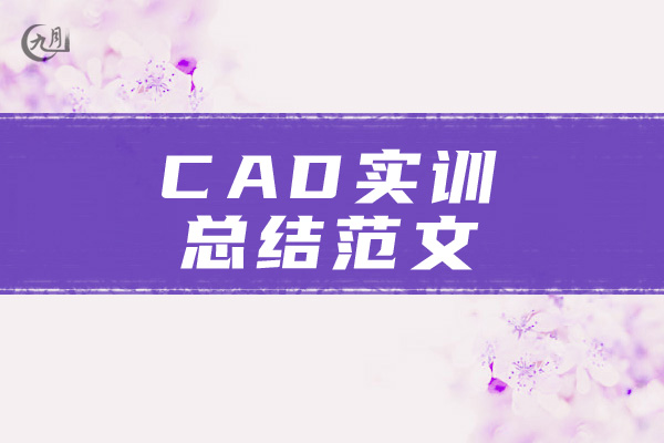 CAD实训总结范文