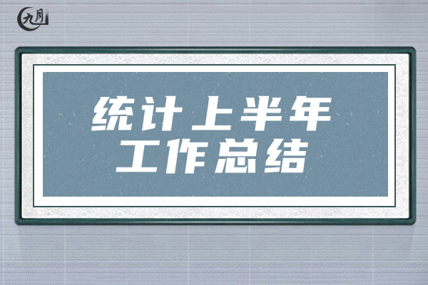 统计上半年工作总结