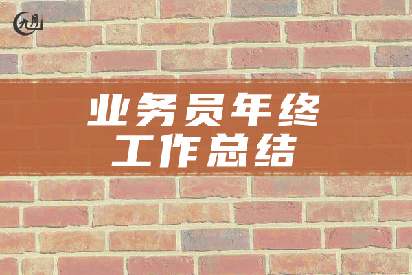 业务员年终工作总结