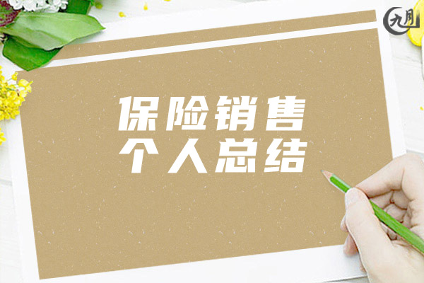 保险销售个人总结