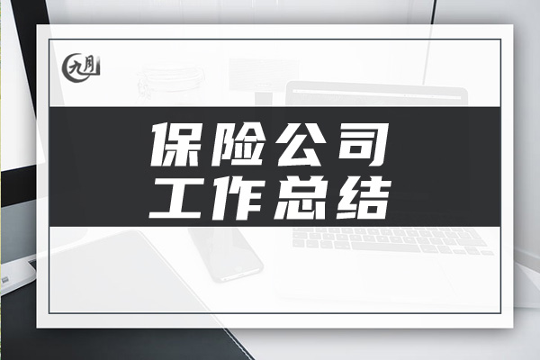 保险公司工作总结