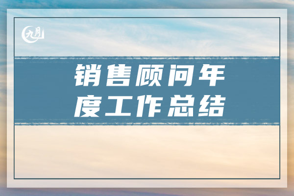 销售顾问年度工作总结