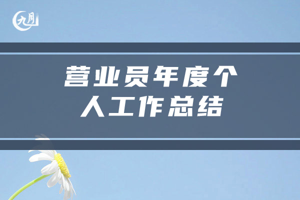 营业员年度个人工作总结